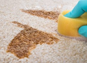 Carpet-Stains-remove-guide-1024x683