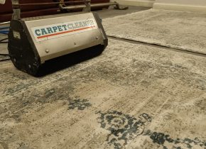 WhatsApp Image 2025-11-10 at 9.58.40 PM