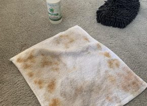 WhatsApp Image 2025-11-15 at 3.17.48 PM