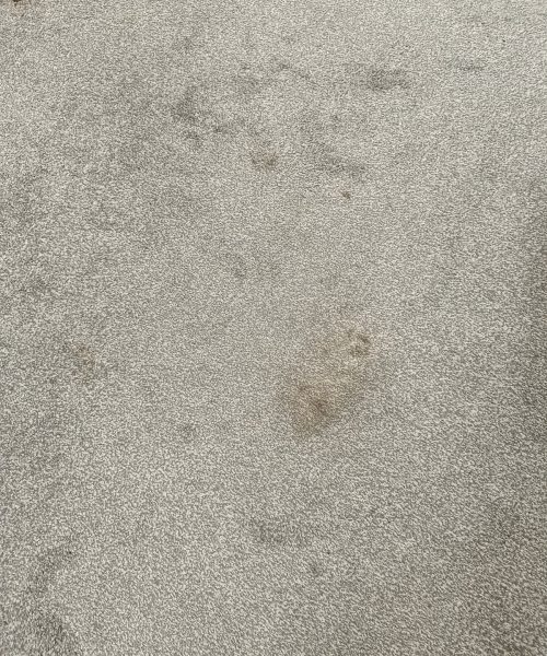 WhatsApp Image 2025-11-16 at 8.48.41 PM